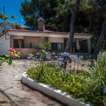 度假居 Feels Like Cascais Modern House With Pool